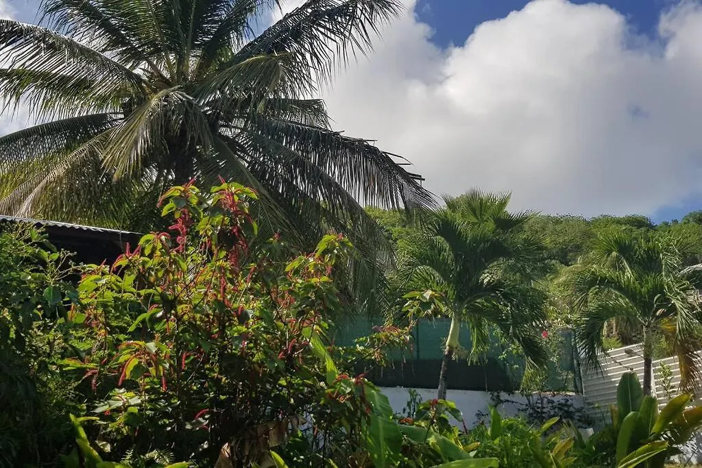 Villa vue mer, piscine, plage à pied Le Diamant